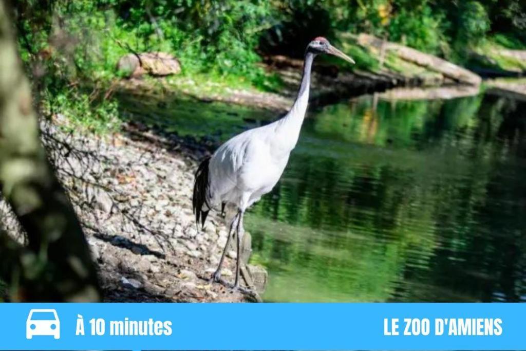 Appartement Cosy Gare équipé Wifi Netflix 2pers Amiens